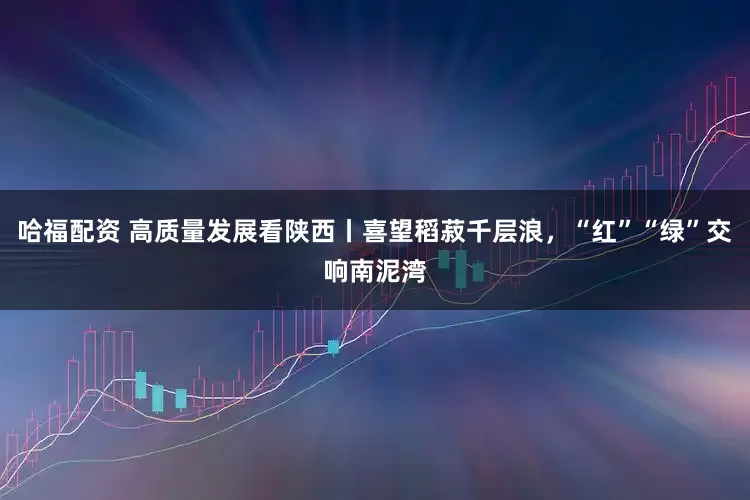 哈福配资 高质量发展看陕西丨喜望稻菽千层浪，“红”“绿”交响南泥湾